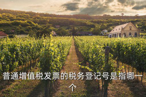 什么是增值稅登記號(hào)碼，增值稅登記號(hào)