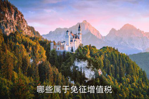 銷售什么可以免稅，哪些屬于免征增值稅