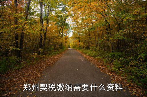鄭州報(bào)稅用什么資料，鄭州國稅網(wǎng)上申報(bào)問題