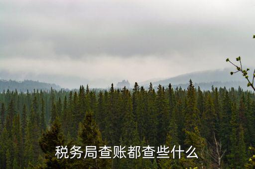 稅務(wù)局查稅一般查什么，請問一下老師一般稅務(wù)局人來查帳一般查什么的