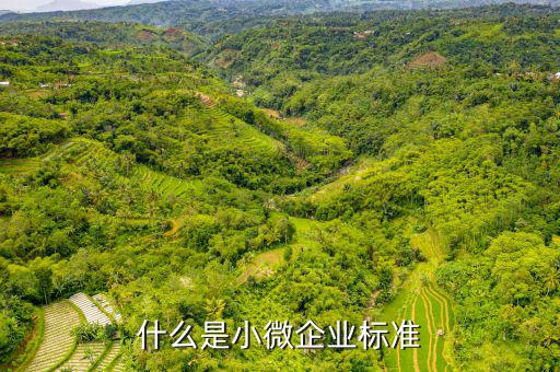小型微利企業(yè)標(biāo)準(zhǔn)是什么，微小型企業(yè)的標(biāo)準(zhǔn)是什么