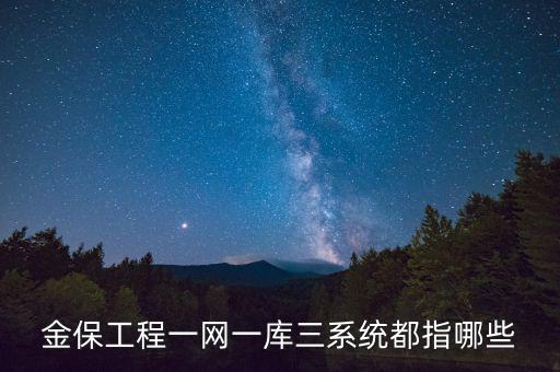 什么是金三系統(tǒng)，會(huì)計(jì)證外借給公司掛靠什么也沒(méi)做就被金三系統(tǒng)監(jiān)控了
