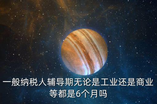 一般納稅人輔導(dǎo)期無(wú)論是工業(yè)還是商業(yè)等都是6個(gè)月嗎