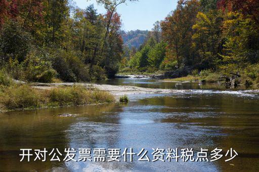 對(duì)公開(kāi)票需要什么信息，公對(duì)公開(kāi)發(fā)票 需要對(duì)方什么信息