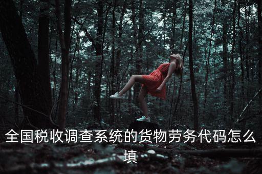 全國(guó)稅收調(diào)查系統(tǒng)的貨物勞務(wù)代碼怎么填