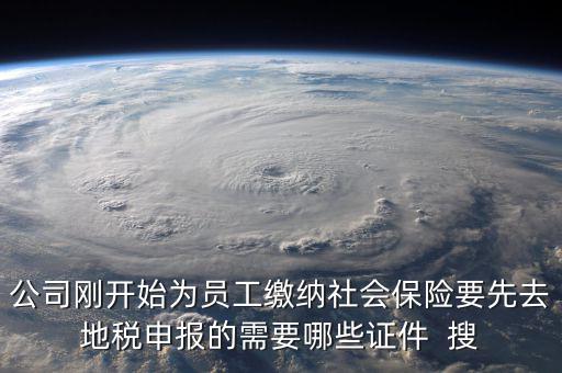 公司剛開始為員工繳納社會保險要先去地稅申報(bào)的需要哪些證件  搜