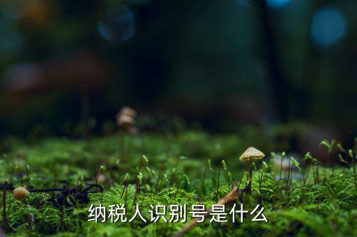 納稅人的識別號是什么，納稅人識別號是什么
