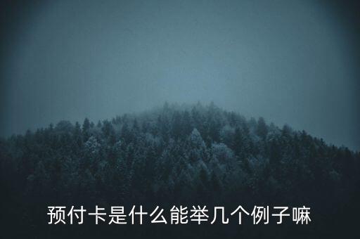預(yù)付卡是什么能舉幾個例子嘛