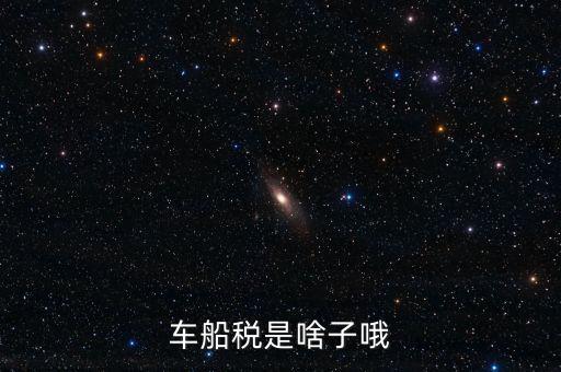 保險的車船稅是什么，車船稅是啥子哦