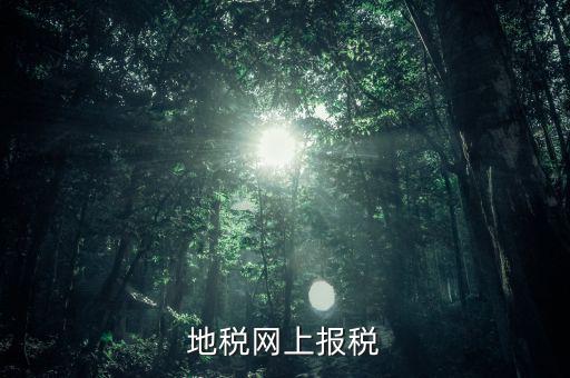 地稅網(wǎng)上需要報(bào)什么稅，網(wǎng)上報(bào)稅地稅國(guó)稅各有哪些稅種