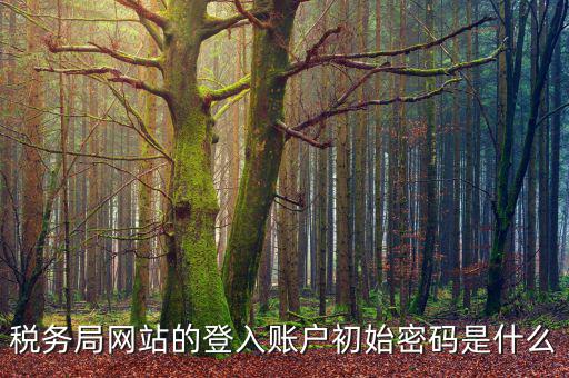浙江國稅登入密碼是什么，稅務局網(wǎng)站的登入賬戶初始密碼是什么