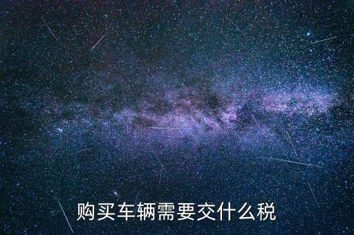 車輛納稅需要什么，汽車交稅需要帶什么