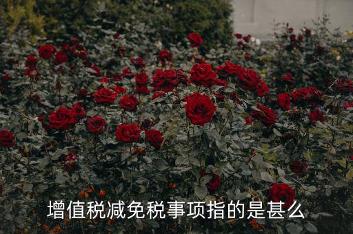 什么是減免稅申報(bào)，增值稅減免稅事項(xiàng)指的是甚么