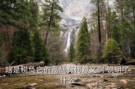 什么是稅負(fù)分析，增值稅稅負(fù)什么意思