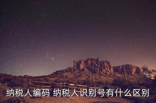 納稅人的識別號是什么意思，納稅人識別號是什么