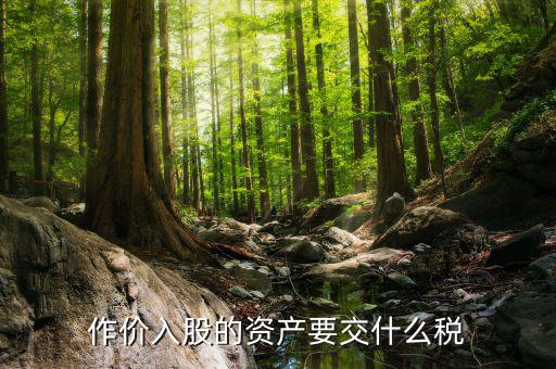 入股金繳納什么稅，作價入股的資產(chǎn)要交什么稅