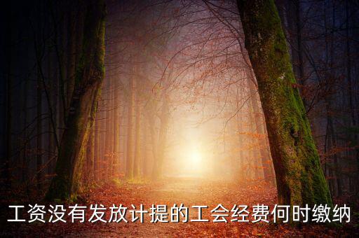 工會(huì)經(jīng)費(fèi)一般什么時(shí)候交，工資沒有發(fā)放計(jì)提的工會(huì)經(jīng)費(fèi)何時(shí)繳納
