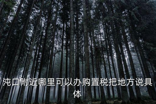 漢陽稅務(wù)局什么車，沌口附近哪里可以辦購置稅把地方說具體