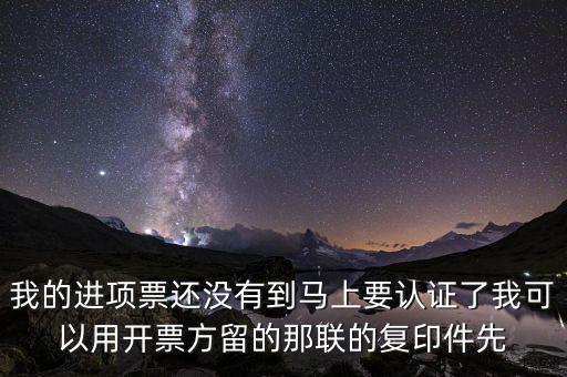納稅清單驗證碼是什么，我的進(jìn)項票還沒有到馬上要認(rèn)證了我可以用開票方留的那聯(lián)的復(fù)印件先