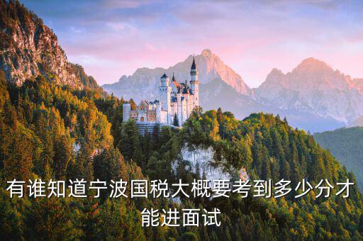 國稅 要求什么素質(zhì)，國稅公務(wù)員面試