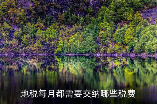 濟(jì)寧地稅收什么稅，地稅每月都需要交納哪些稅費(fèi)