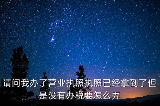 請(qǐng)問我辦了營業(yè)執(zhí)照?qǐng)?zhí)照已經(jīng)拿到了但是沒有辦稅要怎么弄