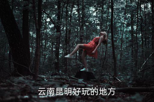 云南昆明地稅旁有什么好玩的地方，云南昆明有哪些好玩的地方