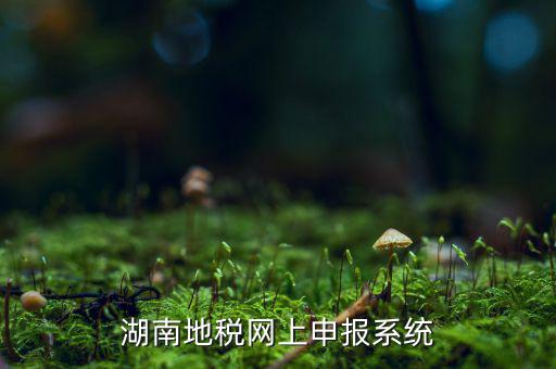 湖南省的地稅報稅軟件是什么，湖南地稅網(wǎng)上申報系統(tǒng)