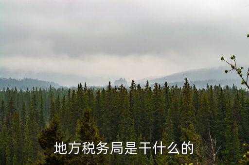 地稅局涉外稅收做什么，陜西發(fā)票涉外地稅是什么意思