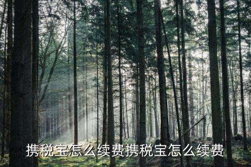 稅寶續(xù)費(fèi)帶什么意思，攜稅寶續(xù)費(fèi)后怎樣使用