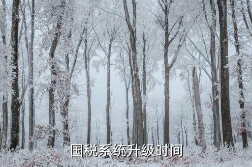 稅務(wù)系統(tǒng)什么時(shí)候更新的，深圳國(guó)稅系統(tǒng)什么時(shí)候換的