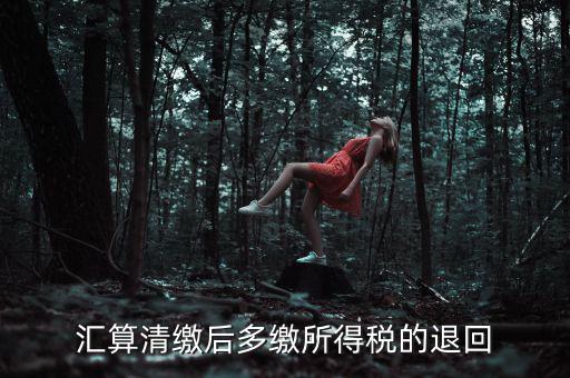 匯算清繳多繳稅款什么時候退，企業(yè)所得稅匯算清繳退款什么時候到賬