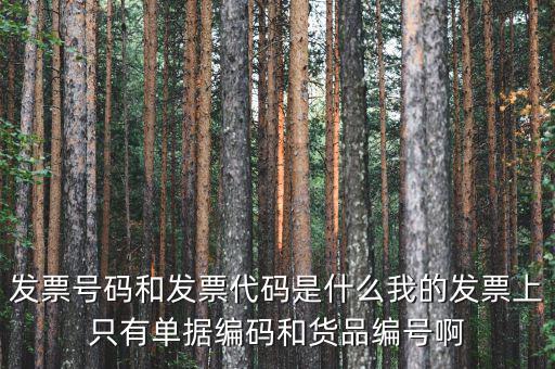 發(fā)票代碼和發(fā)票號(hào)碼是什么，發(fā)票代碼和發(fā)票號(hào)碼有什么用