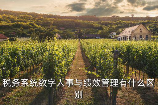 什么是稅務(wù)績(jī)效管理工作亮點(diǎn)，績(jī)效管理是什么