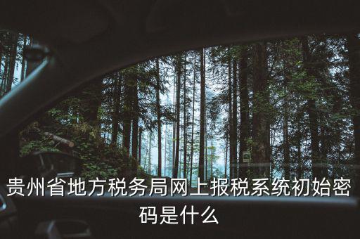 黑龍江電子稅務(wù)是什么，貴州省地方稅務(wù)局網(wǎng)上報稅系統(tǒng)初始密碼是什么