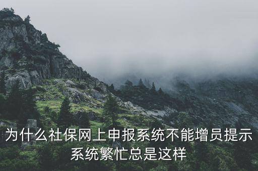為什么社保申報后不通過，2015年9月21號網(wǎng)上申報社保進不去怎么回事