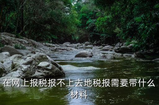 網(wǎng)上報(bào)稅反寫(xiě)失敗帶什么手續(xù)，去國(guó)稅局查看反寫(xiě)需要帶什么