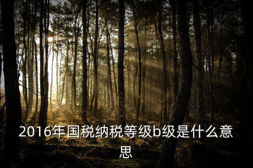 2016年國稅納稅等級(jí)b級(jí)是什么意思