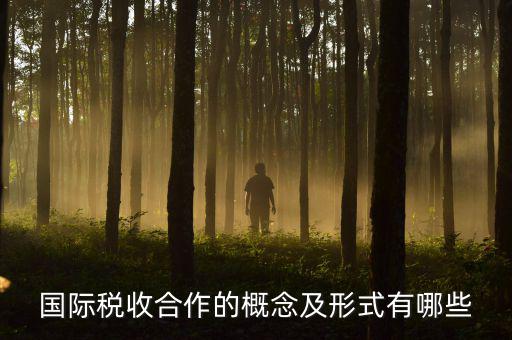 國(guó)際稅源是什么意思，國(guó)際稅收合作的概念及形式有哪些