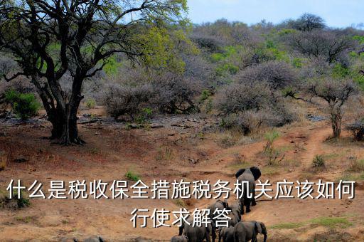稅務(wù)局四個(gè)確保是什么，如何加強(qiáng)稅務(wù)稽查工作的幾點(diǎn)思考