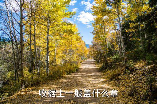 個人收據蓋什么章，收據上應該蓋什么章