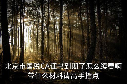 北京市國(guó)稅CA證書(shū)到期了怎么續(xù)費(fèi)啊帶什么材料請(qǐng)高手指點(diǎn)