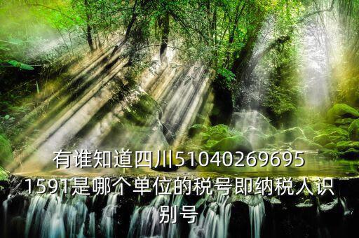 四川國(guó)稅廳帳號(hào)是什么，有誰(shuí)知道四川510402696951591是哪個(gè)單位的稅號(hào)即納稅人識(shí)別號(hào)