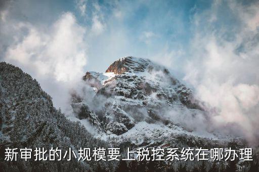 什么是小規(guī)模稅控升級(jí)，新審批的小規(guī)模要上稅控系統(tǒng)在哪辦理