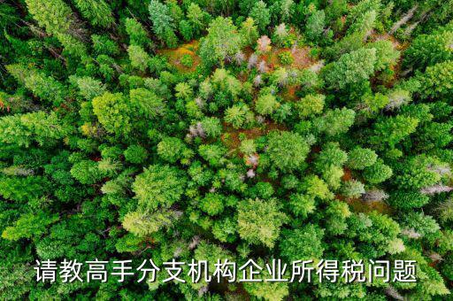 企業(yè)所得稅分管單位是什么意思，企業(yè)所得稅主管稅務(wù)局指的是什么