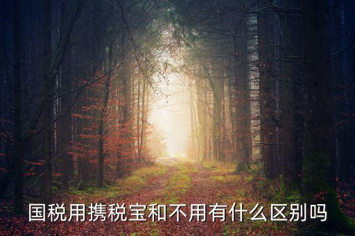 稅寶是什么，國(guó)稅用攜稅寶和不用有什么區(qū)別嗎