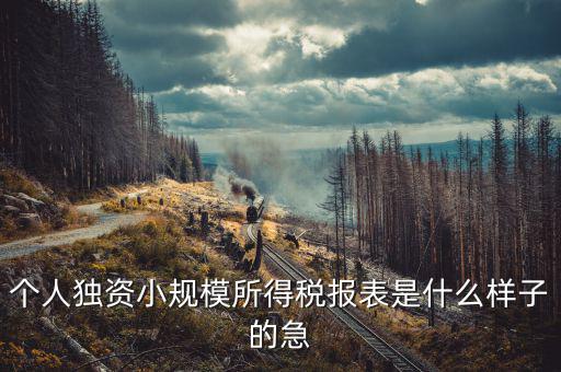 所得稅報(bào)表是什么樣的，企業(yè)所得稅年度納稅申報(bào)表