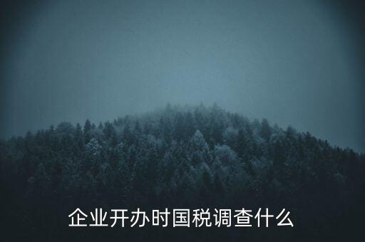 企業(yè)開辦時(shí)國(guó)稅調(diào)查什么