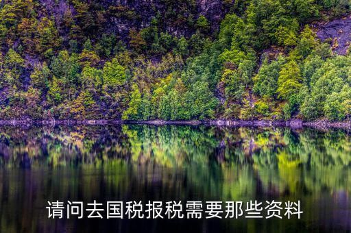 請(qǐng)問去國稅報(bào)稅需要那些資料