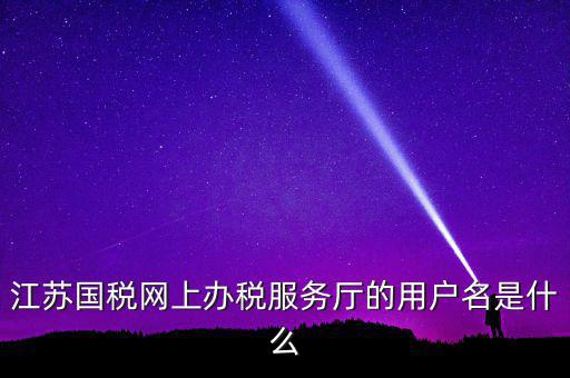 江蘇國稅網上辦稅服務廳的用戶名是什么